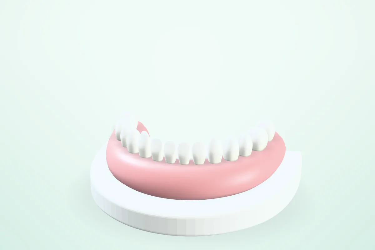 A model of a lower row of teeth, complete and in line, on a soft mint backdrop